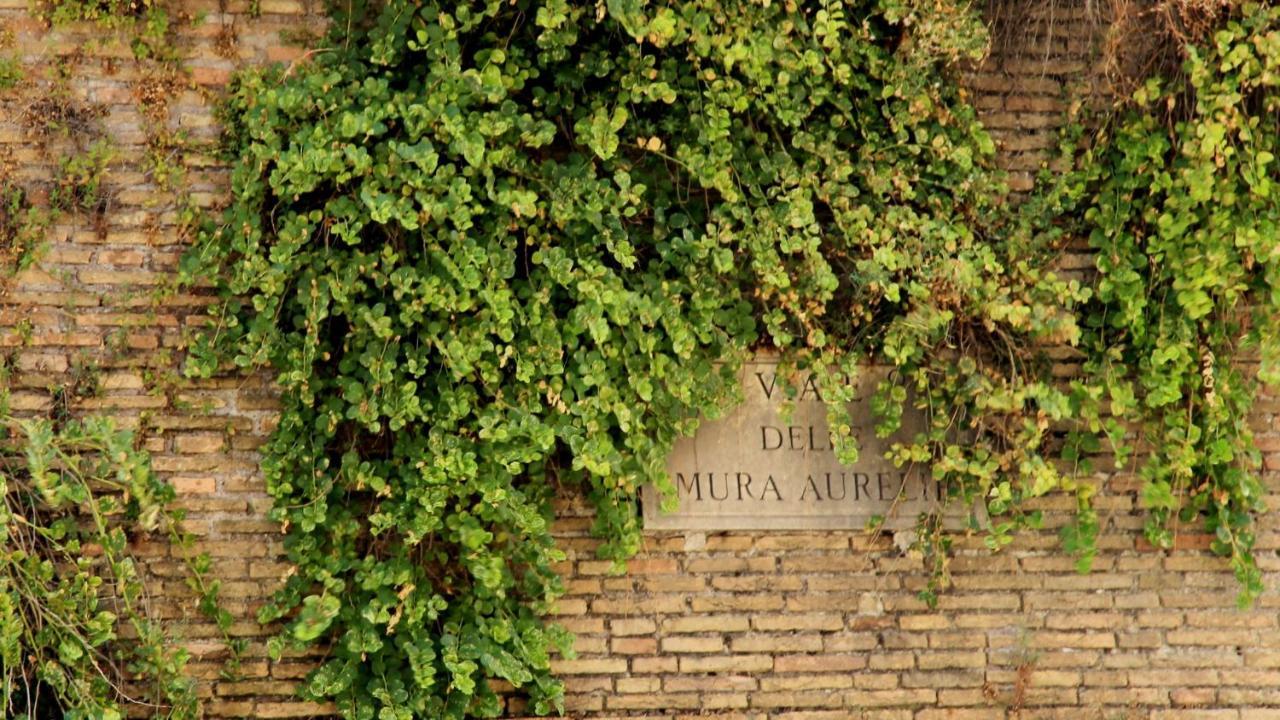 로마 Vista San Pietro 아파트 외부 사진